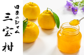 四季のジャム三宝柑